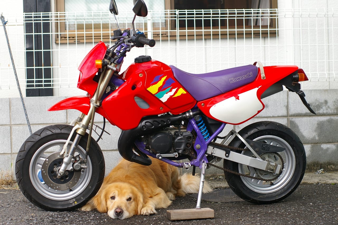 カワサキ KSR-2 (KSR80)の実車写真