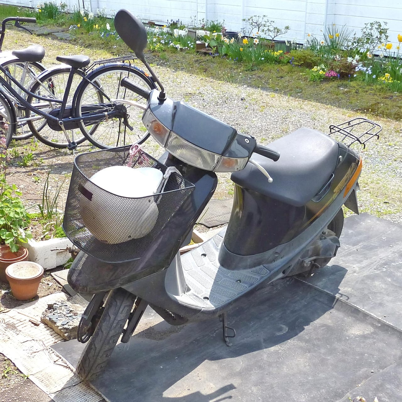 スズキ セピアの実車写真