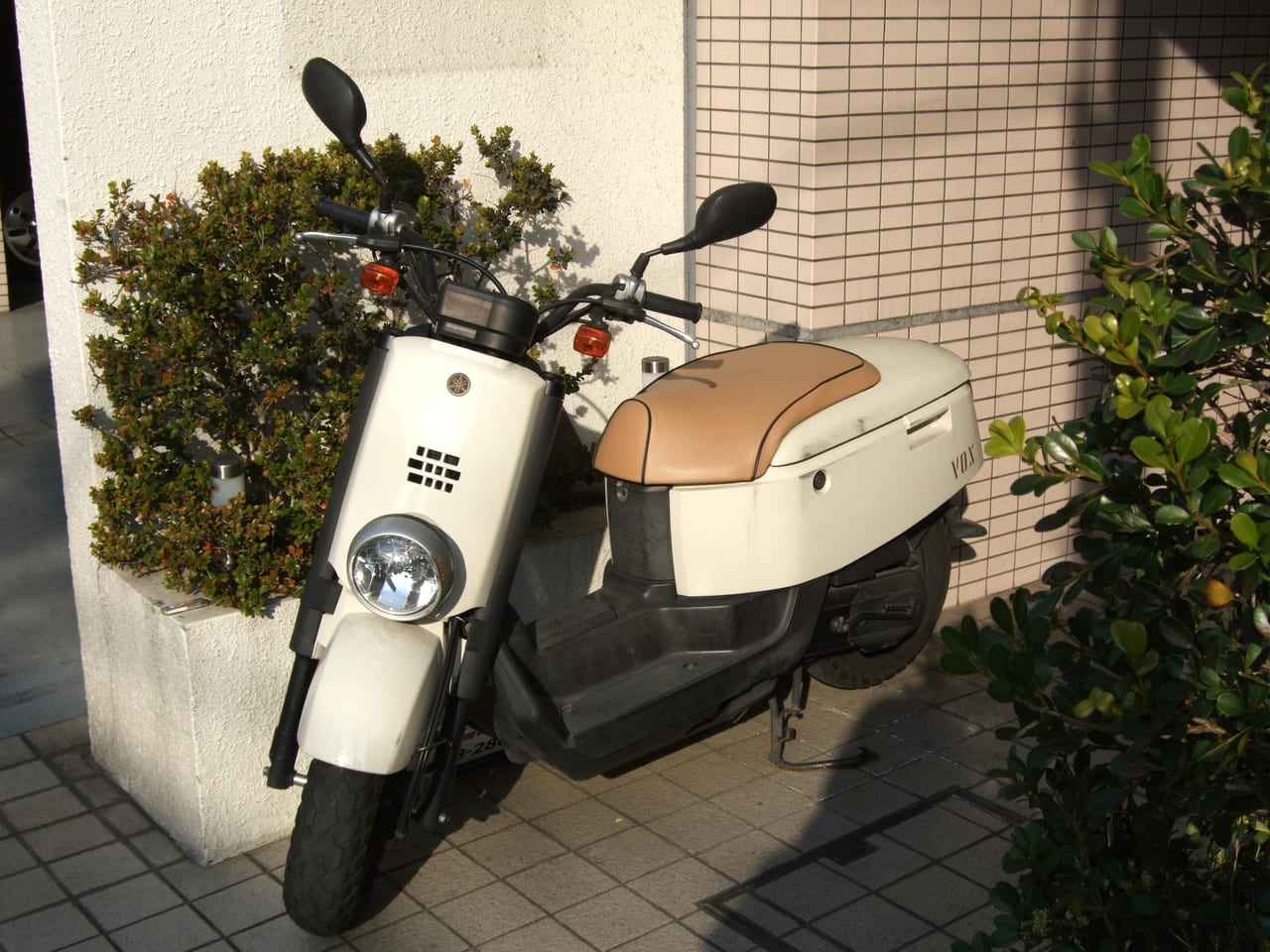 ヤマハ VOX(XF50 / XF50D)の実車写真